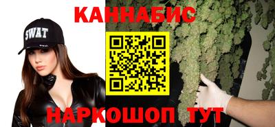 прущие крисы Будённовск