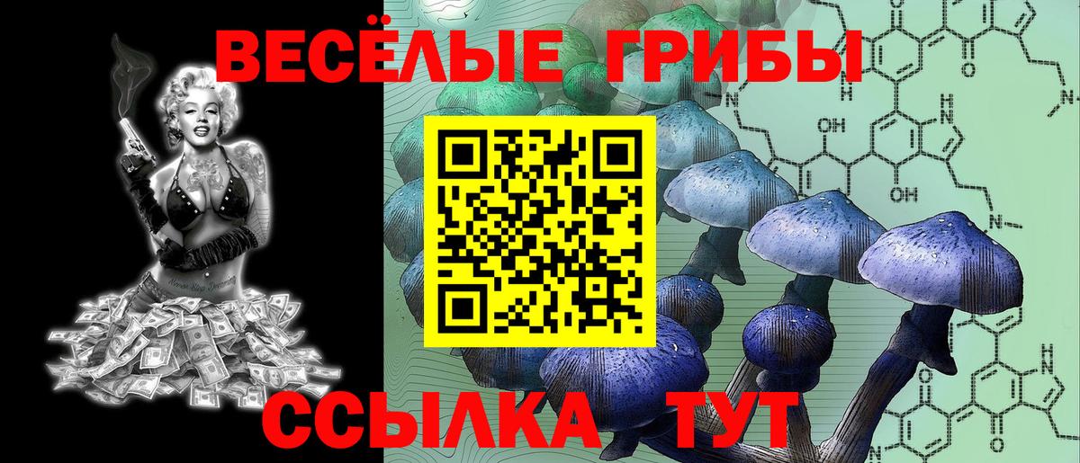 Псилоцибиновые грибы мицелий  Вход с VPN  Псилоцибиновые грибы мицелий  Отрадный 
