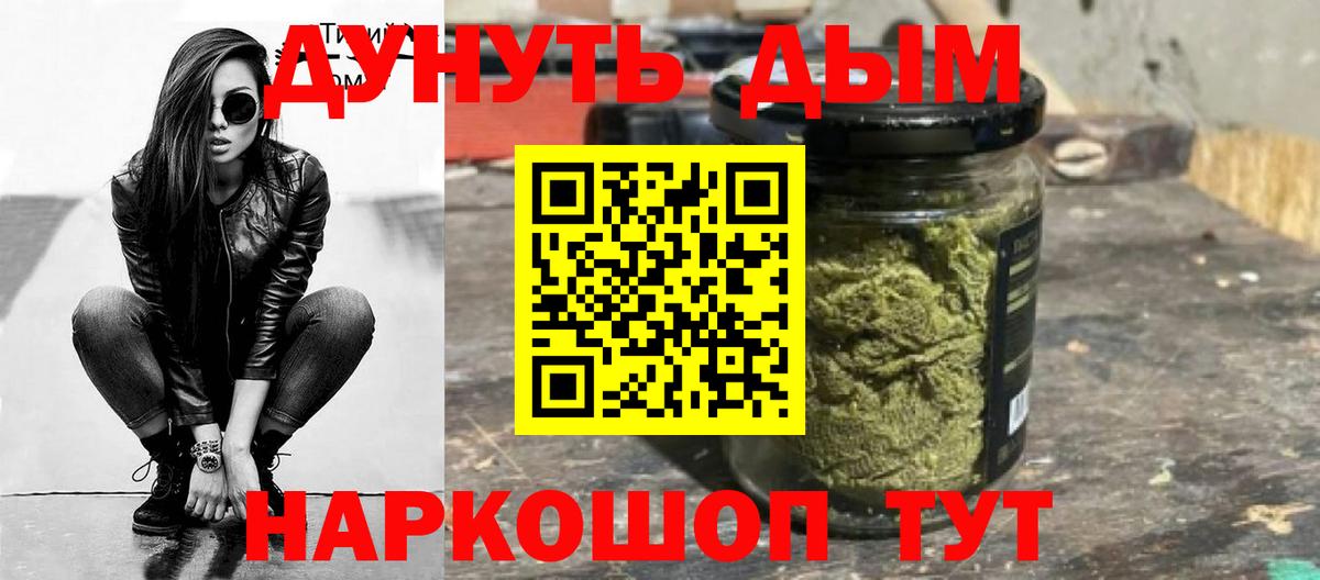 Канабис планчик Отрадный